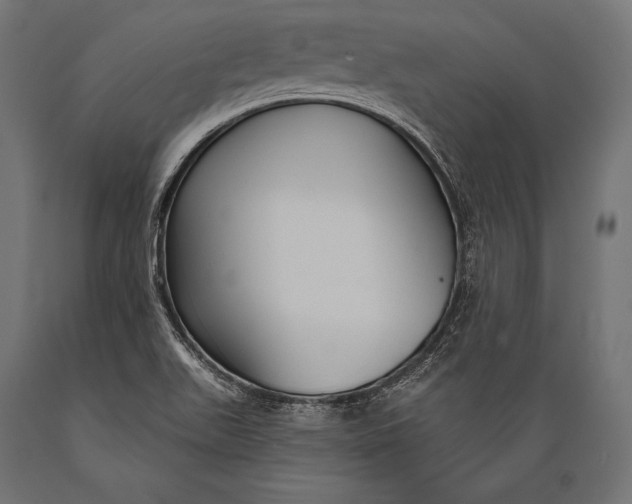 X0000088881511200706291551