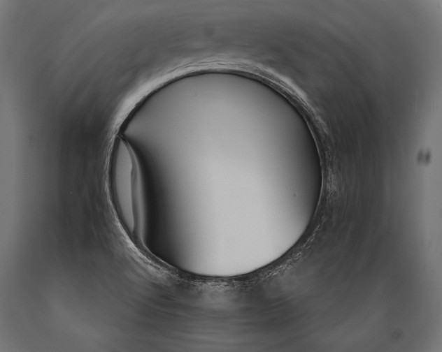 X0000088881512200706291551