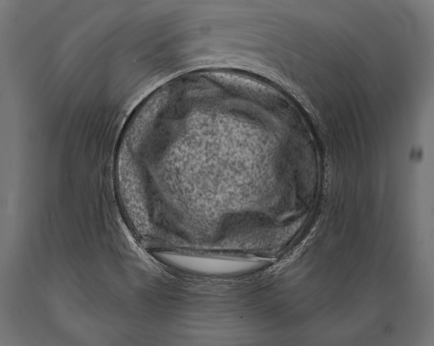 X0000088881513200706291551