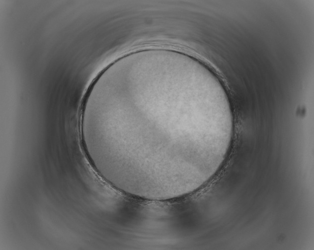 X0000088881514200706291551