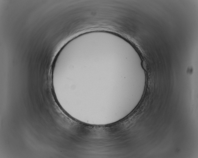 X0000088881516200706291551