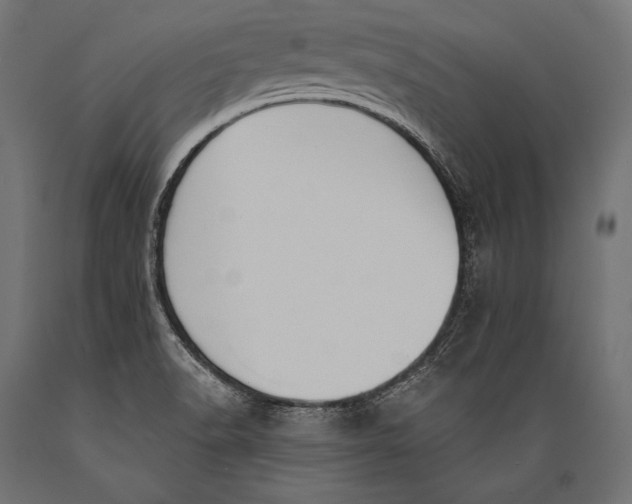 X0000088881518200706291551