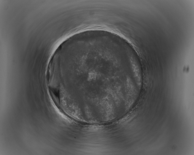 X0000088881519200706291551