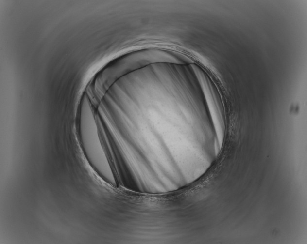 X0000088881520200706291551