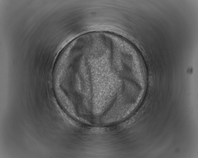 X0000088881521200706291551