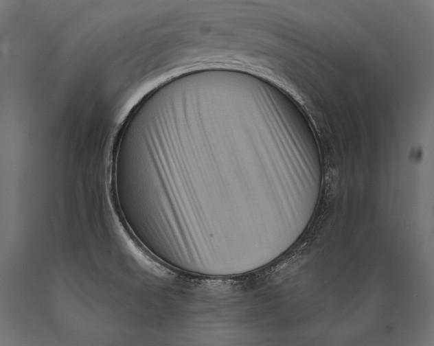 X0000088881523200706291552