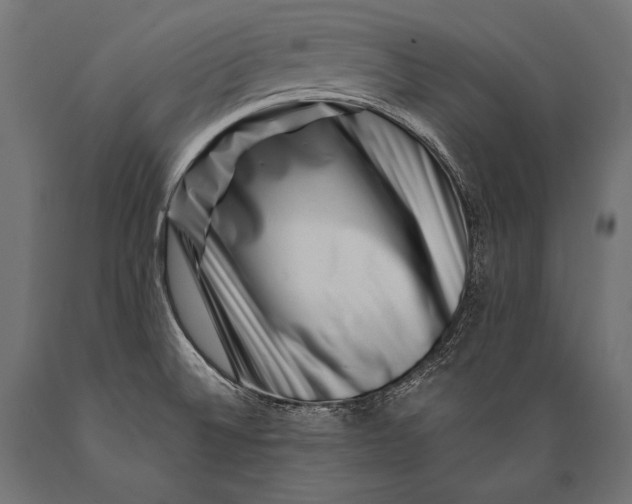 X0000088881524200706291552