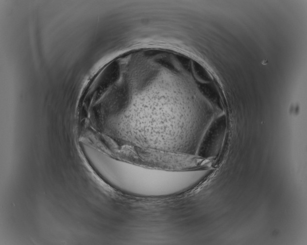 X0000088881525200706291552