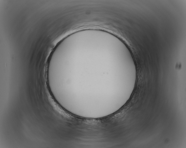 X0000088881526200706291552