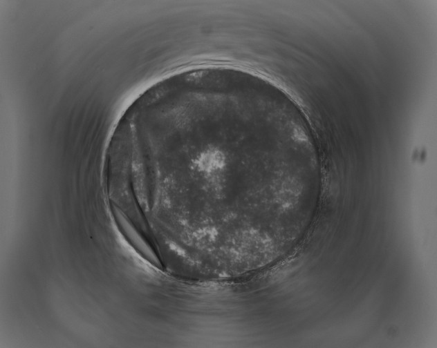 X0000088881527200706291552