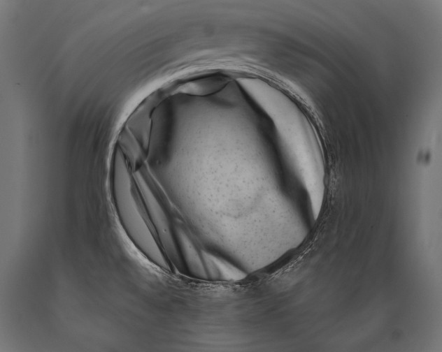 X0000088881528200706291552