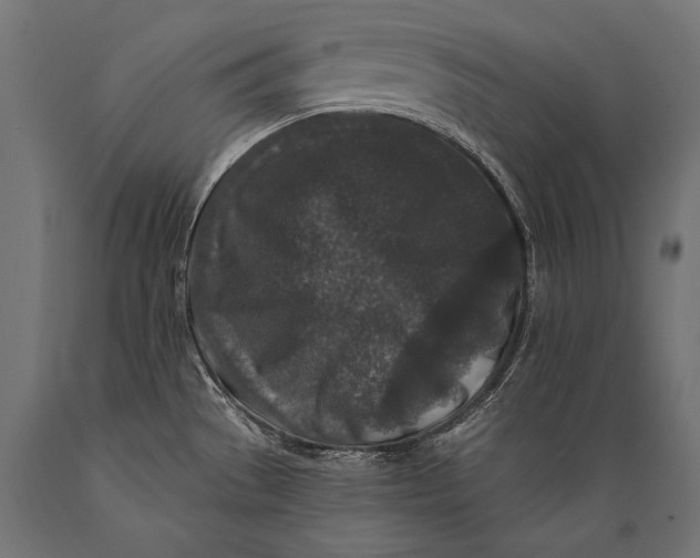 X0000088881529200706291552