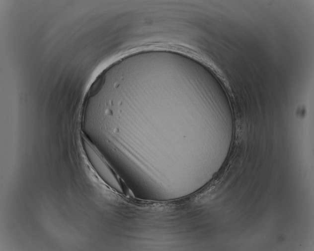 X0000088881530200706291552