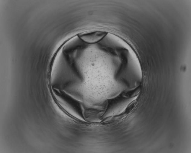 X0000088881531200706291552