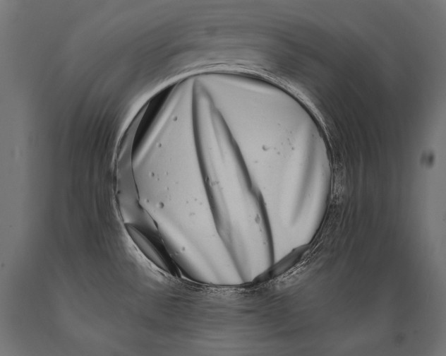 X0000088881532200706291552