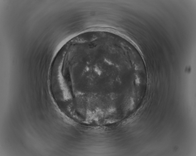 X0000088881533200706291552