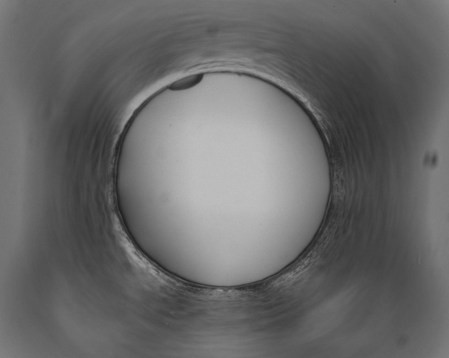 X0000088881534200706291552