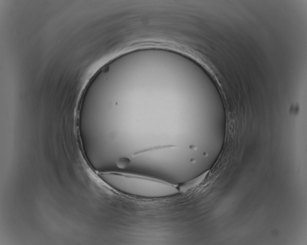 X0000088881535200706291552