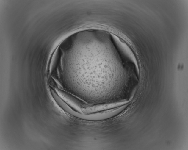 X0000088881536200706291552