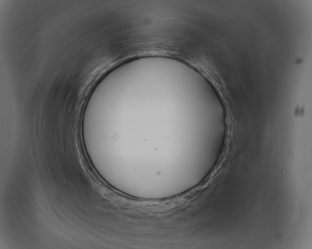 X0000088880001200707061420