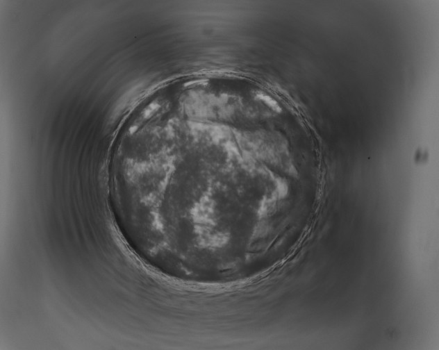 X0000088880002200707061420