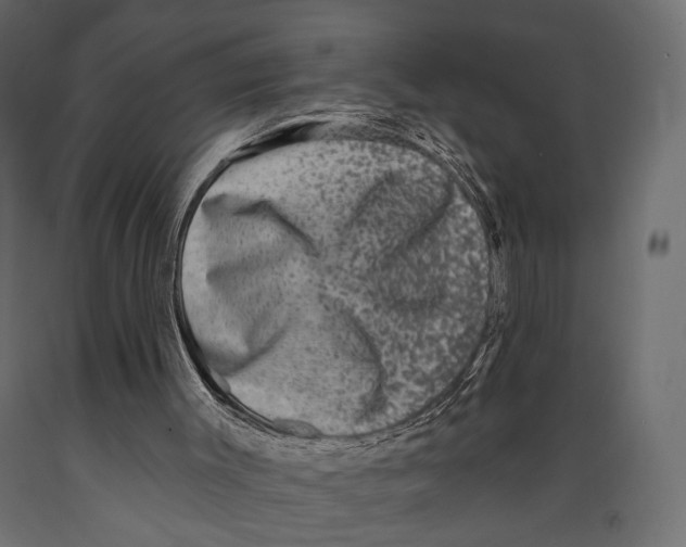X0000088880003200707061420