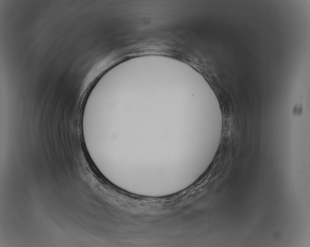 X0000088880004200707061420