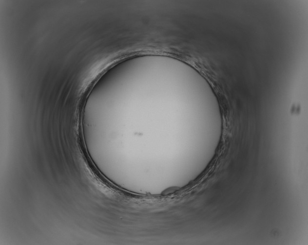 X0000088880005200707061420