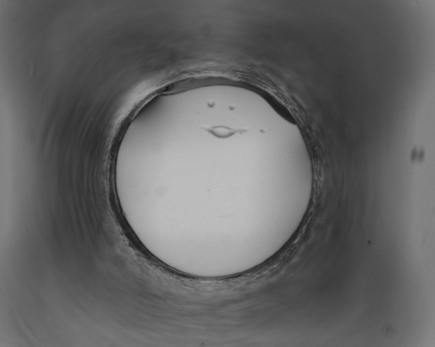 X0000088880006200707061420