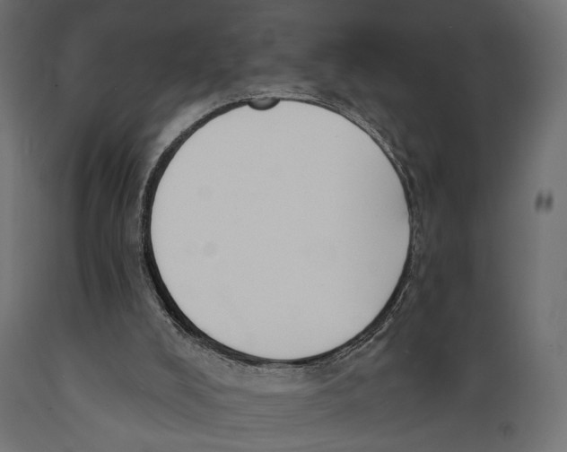 X0000088880008200707061420