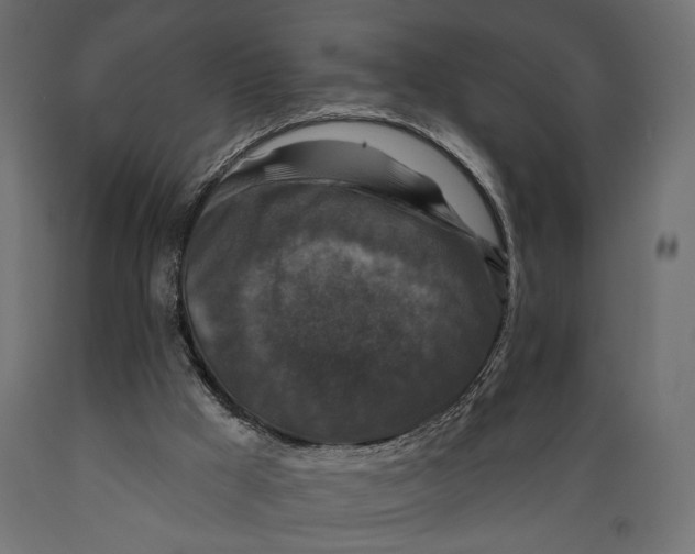 X0000088880009200707061420