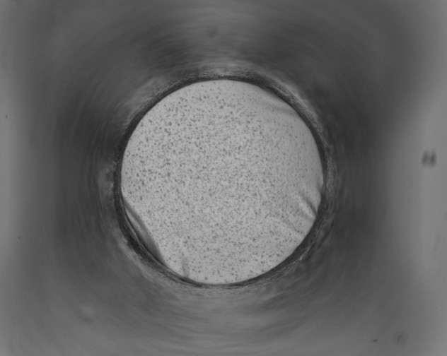 X0000088880010200707061420