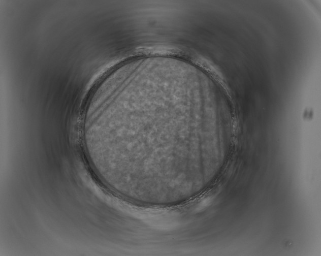 X0000088880012200707061420