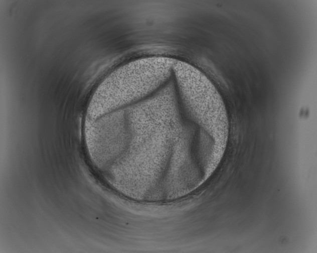 X0000088880014200707061420