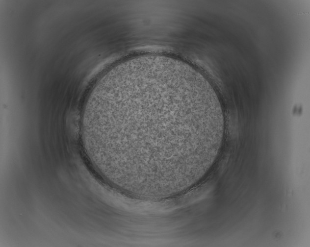 X0000088880016200707061420
