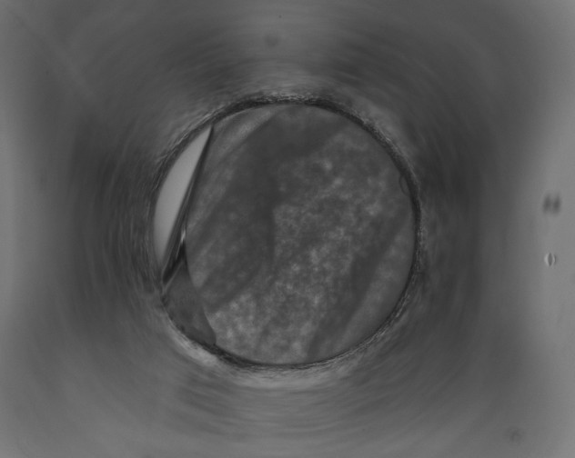 X0000088880017200707061420