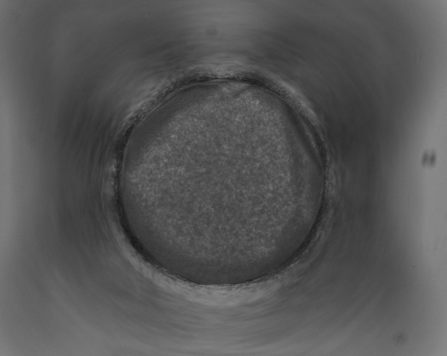 X0000088880018200707061420