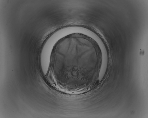 X0000088880019200707061420