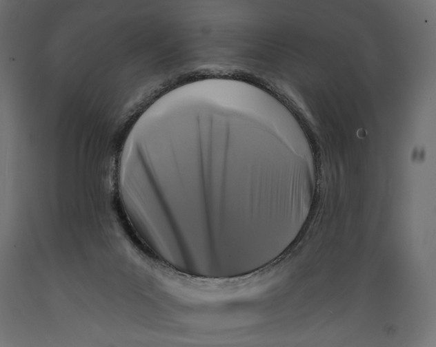 X0000088880023200707061420