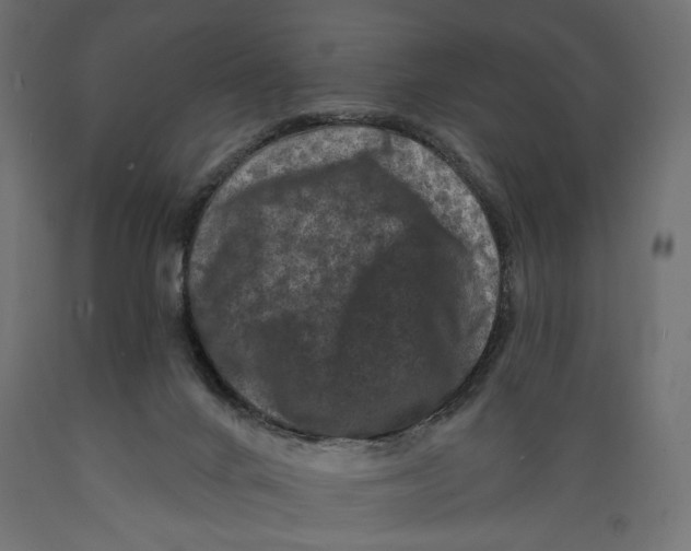 X0000088880024200707061420
