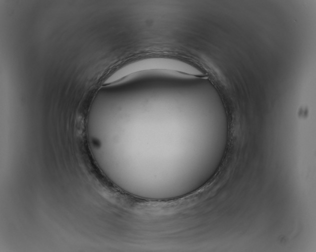 X0000088880025200707061420