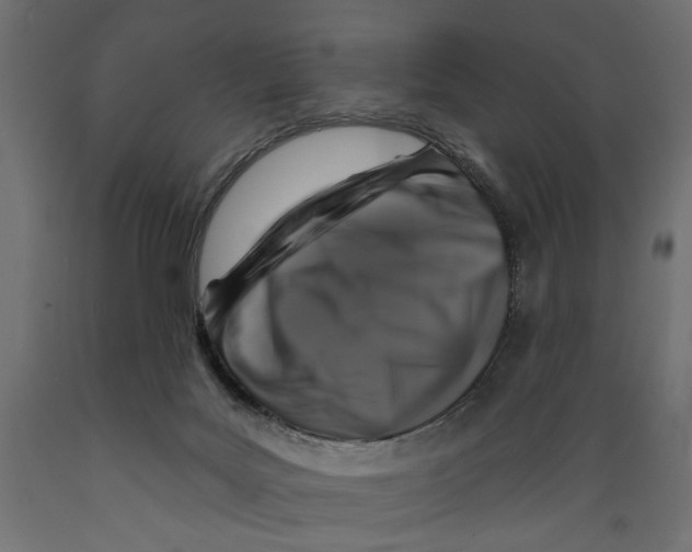X0000088880027200707061420