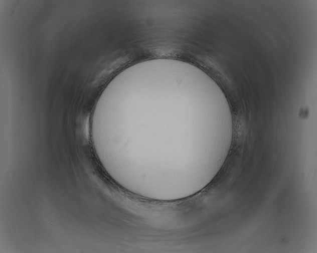 X0000088880028200707061420
