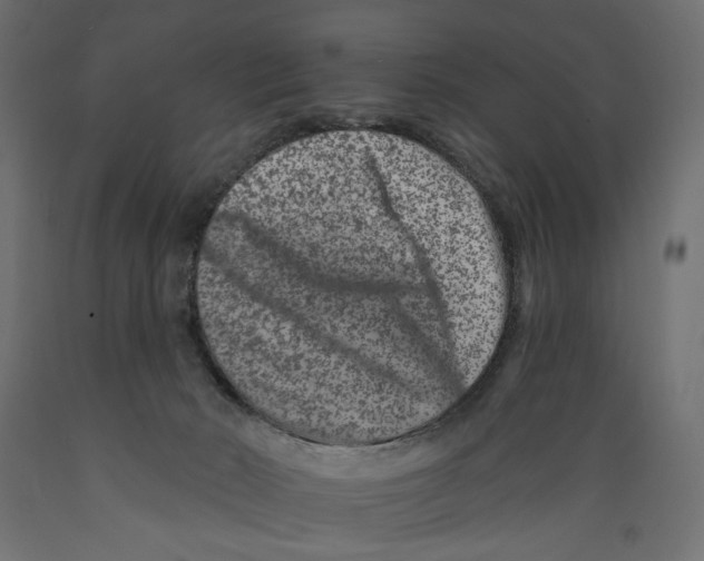 X0000088880030200707061420