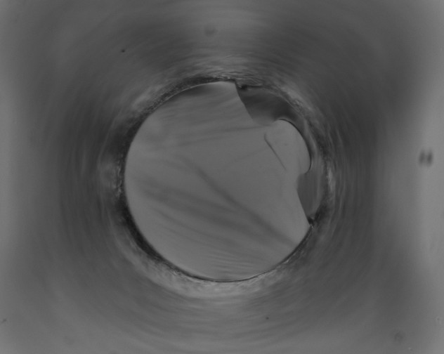 X0000088880031200707061420
