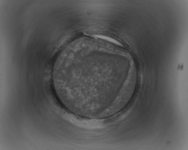 X0000088880032200707061420