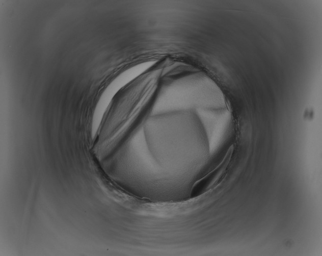 X0000088880033200707061420