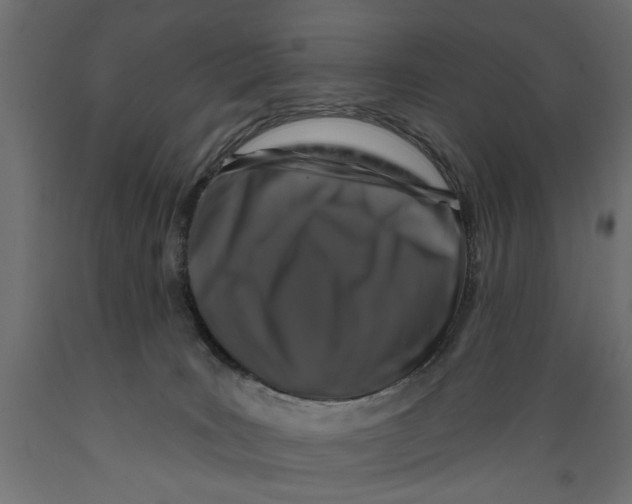 X0000088880035200707061420