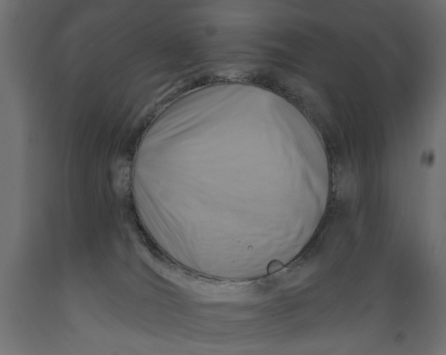 X0000088880036200707061420