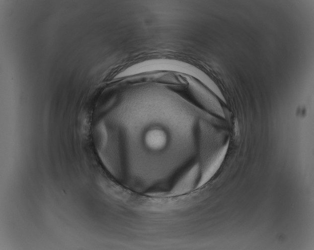 X0000088880037200707061420